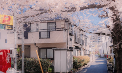 Featured image of post Tagebuch